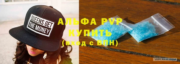 сатива Пересвет