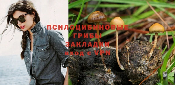 дмт Остров