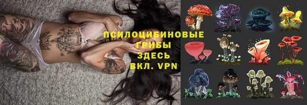 спайс Осташков
