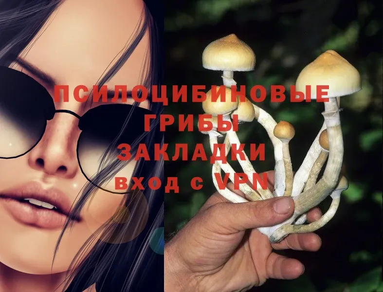 Псилоцибиновые грибы Magic Shrooms  Унеча 