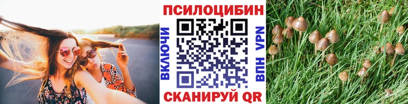 наркотики  Унеча  дарк нет Telegram  Псилоцибиновые грибы Psilocybine cubensis 