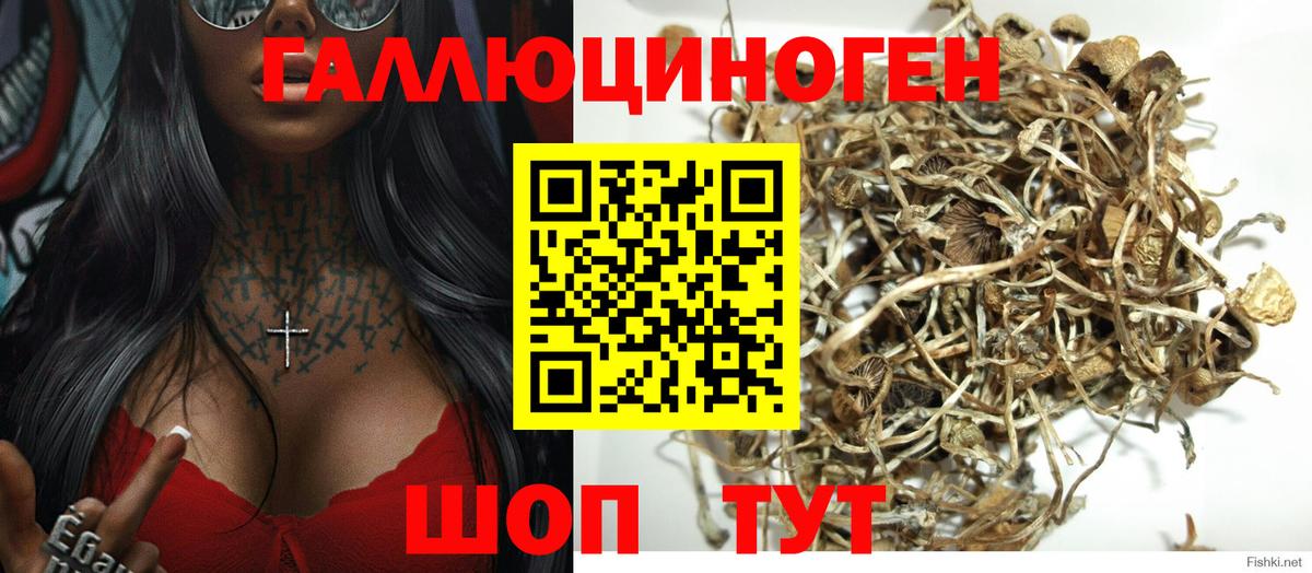 Псилоцибиновые грибы MAGIC MUSHROOMS  наркотики  Вход с VPN  Унеча  Галлюциногенные грибы MAGIC MUSHROOMS 