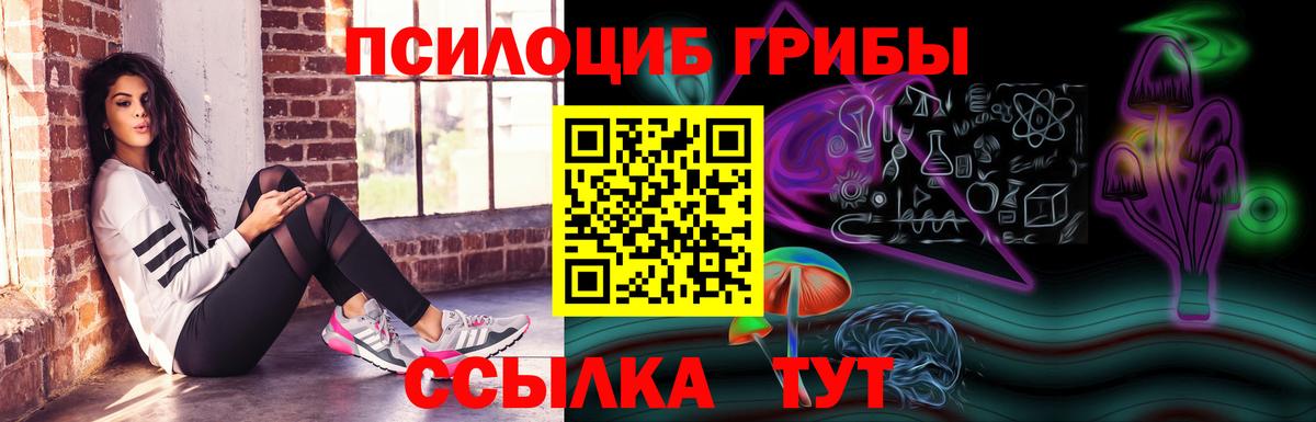Галлюциногенные грибы Psilocybe Унеча