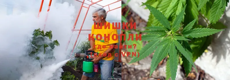 mega сайт  Унеча  Бошки марихуана SATIVA & INDICA  как найти  